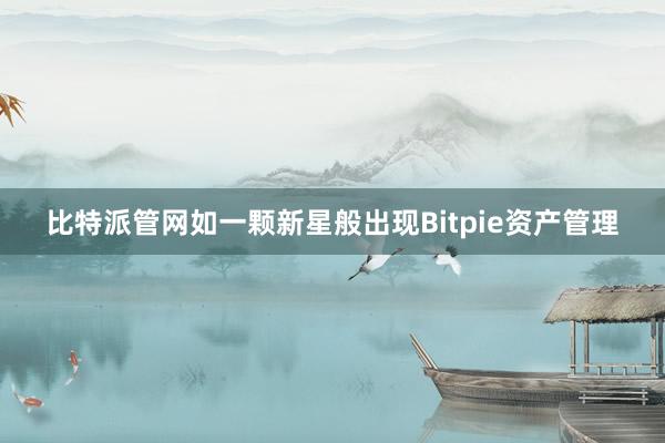 比特派管网如一颗新星般出现Bitpie资产管理