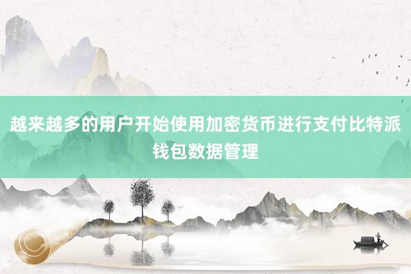 越来越多的用户开始使用加密货币进行支付比特派钱包数据管理