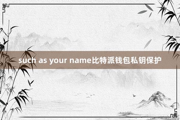 such as your name比特派钱包私钥保护