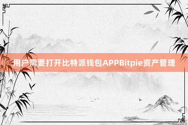 用户需要打开比特派钱包APPBitpie资产管理