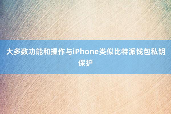 大多数功能和操作与iPhone类似比特派钱包私钥保护