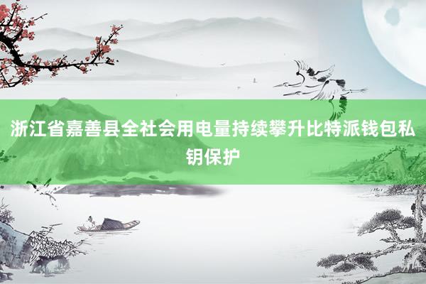 浙江省嘉善县全社会用电量持续攀升比特派钱包私钥保护