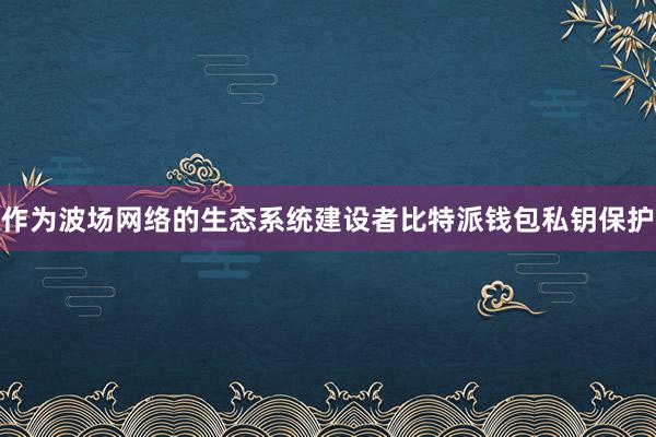 作为波场网络的生态系统建设者比特派钱包私钥保护