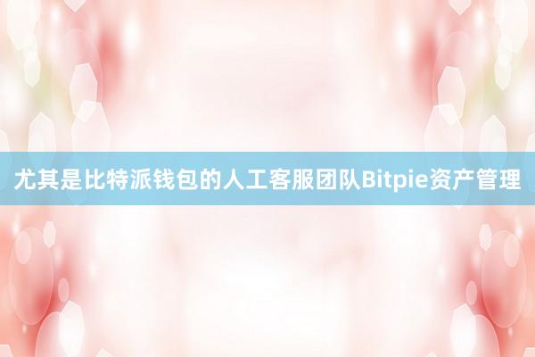 尤其是比特派钱包的人工客服团队Bitpie资产管理