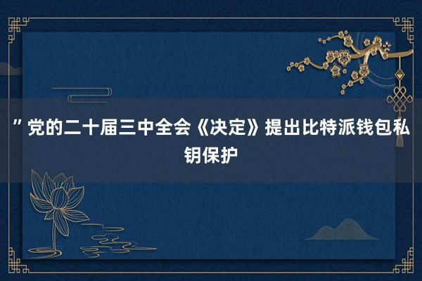 ”党的二十届三中全会《决定》提出比特派钱包私钥保护