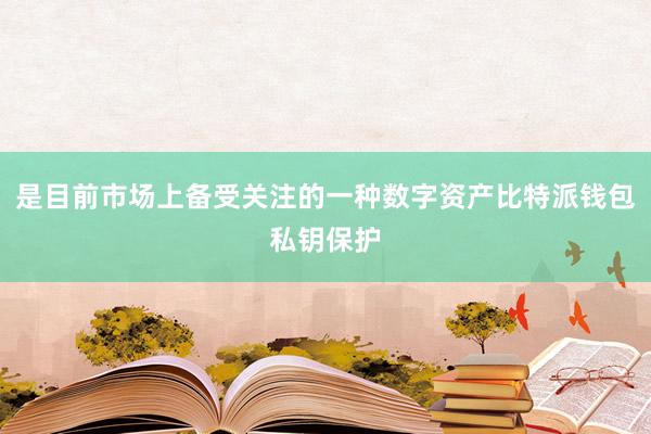 是目前市场上备受关注的一种数字资产比特派钱包私钥保护