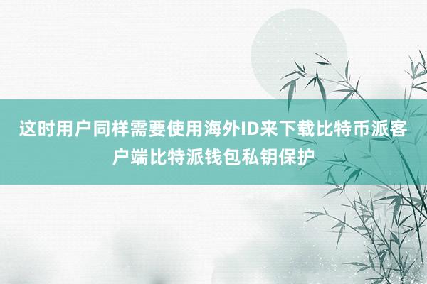 这时用户同样需要使用海外ID来下载比特币派客户端比特派钱包私钥保护