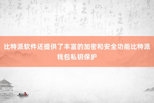 比特派软件还提供了丰富的加密和安全功能比特派钱包私钥保护