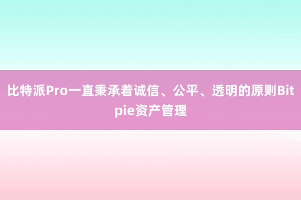 比特派Pro一直秉承着诚信、公平、透明的原则Bitpie资产管理