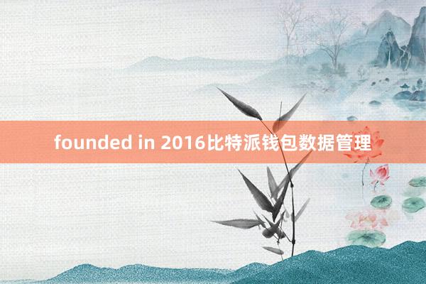 founded in 2016比特派钱包数据管理