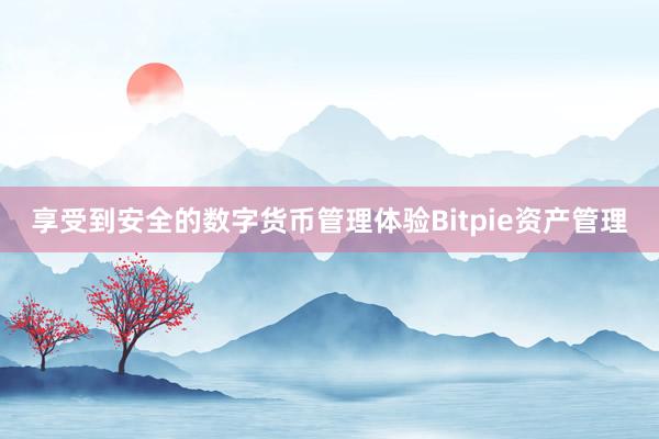 享受到安全的数字货币管理体验Bitpie资产管理