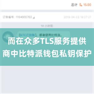 而在众多TLS服务提供商中比特派钱包私钥保护