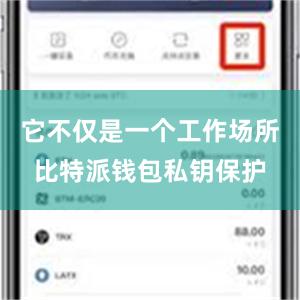 它不仅是一个工作场所比特派钱包私钥保护