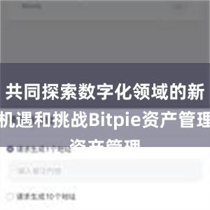 共同探索数字化领域的新机遇和挑战Bitpie资产管理