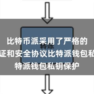 比特币派采用了严格的身份验证和安全协议比特派钱包私钥保护