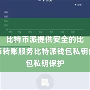 比特币派提供安全的比特币转账服务比特派钱包私钥保护