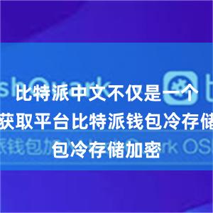 比特派中文不仅是一个信息获取平台比特派钱包冷存储加密