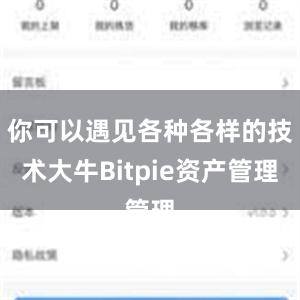 你可以遇见各种各样的技术大牛Bitpie资产管理