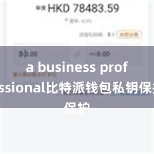 a business professional比特派钱包私钥保护