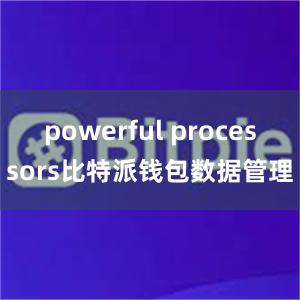 powerful processors比特派钱包数据管理